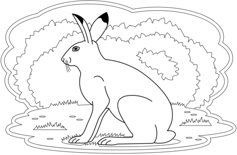 Hare coloring page free printable coloring pages