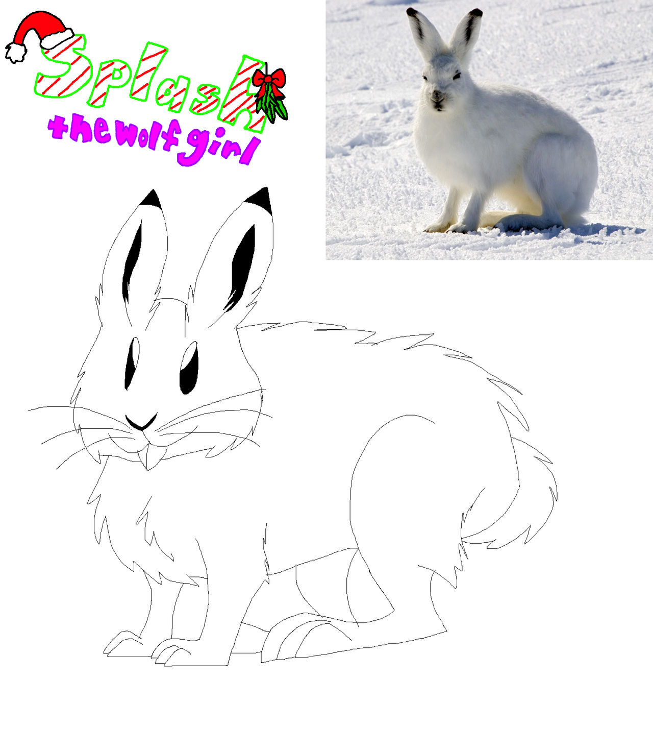 Arctic hare by splashthewolfgirl on