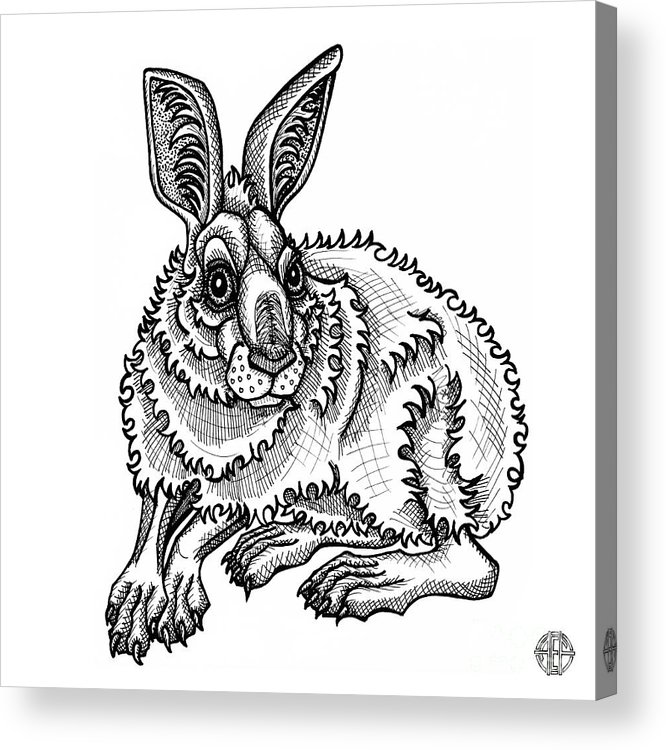 Snowshoe hare acrylic print by amy e fraser