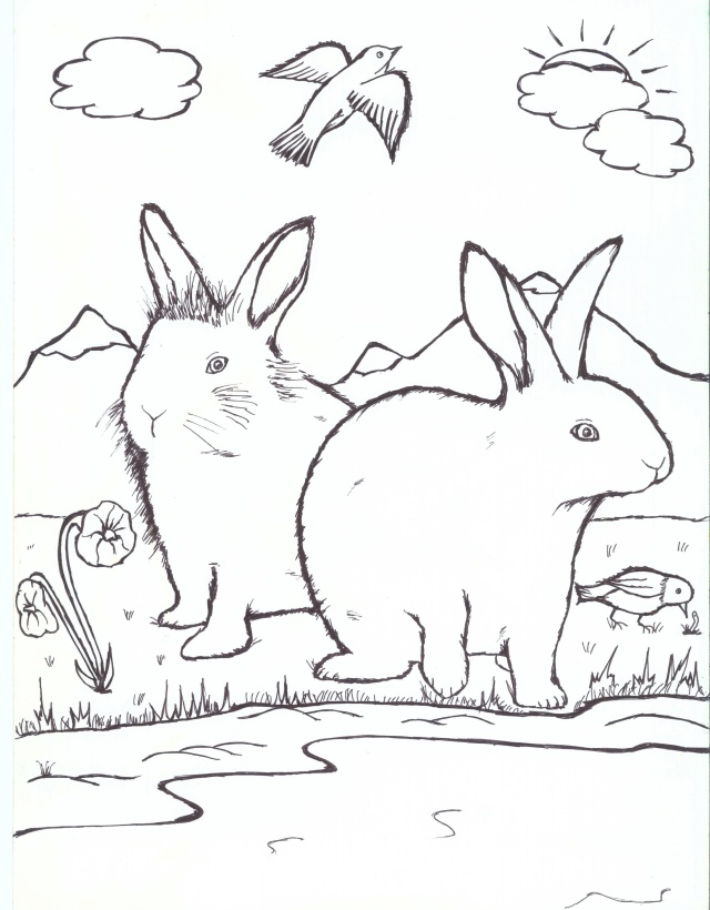 Colouring picture â the rabbit rescuers