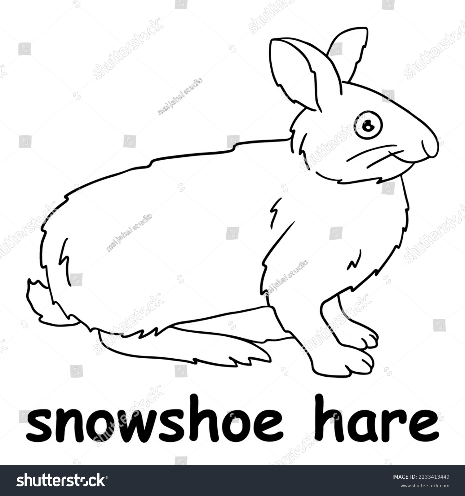 Kids line illustration coloring snowshoe hare stock vector royalty free