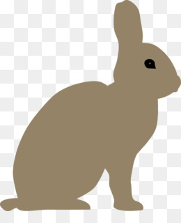 Snowshoe hare png