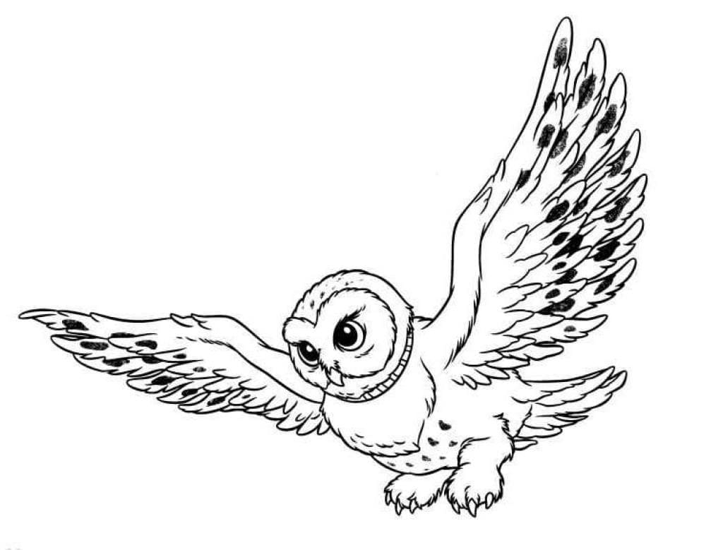 Flying owl coloring page