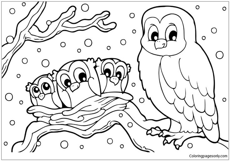 Winter snowy owl coloring page owl coloring pages bird coloring pages valentine coloring pages