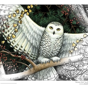 Coloring book page printable pdf download winter snowy owl christmas grayscale art