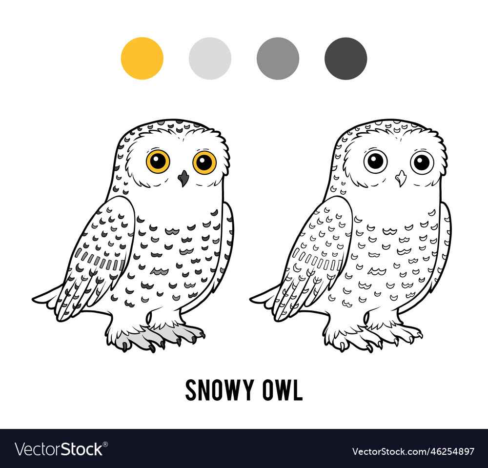 Coloring book snowy owl royalty free vector image