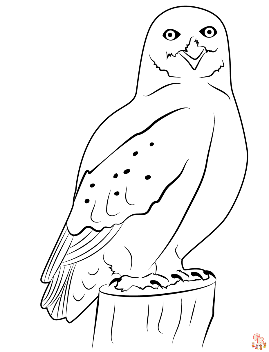 Free printable snowy owl coloring pages for kids