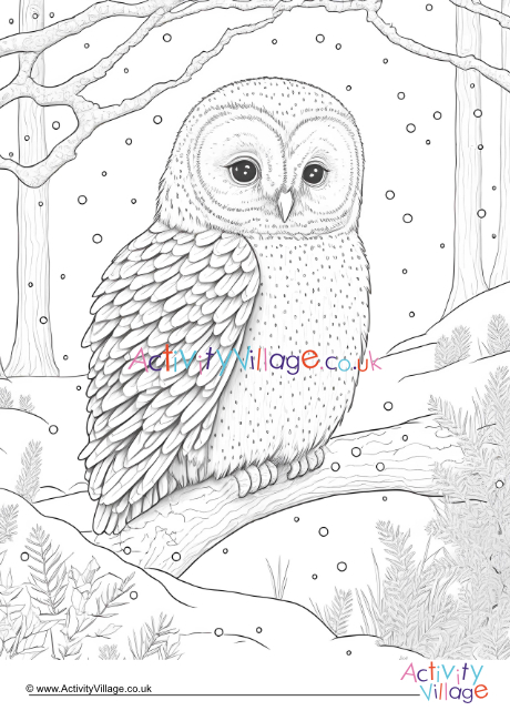 Winter owl louring page