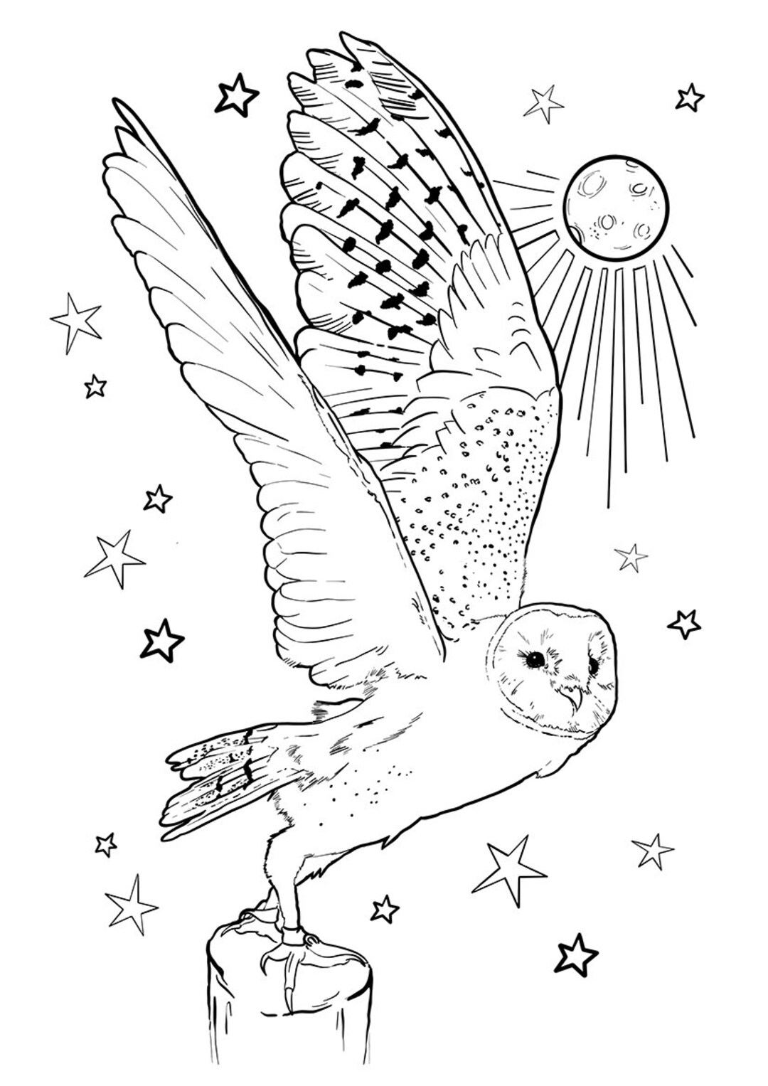 Owl colouring pages digital download pdf pages instant download