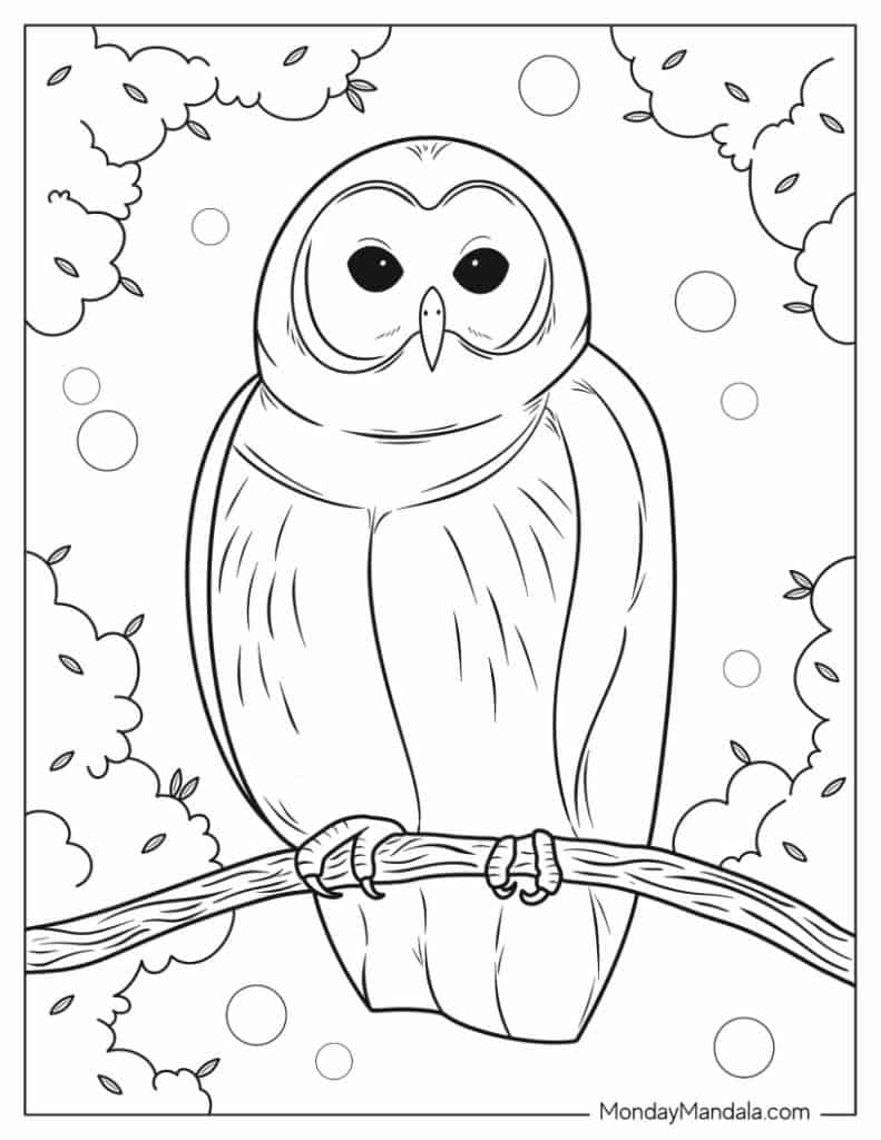 Owl coloring pages free pdf printables