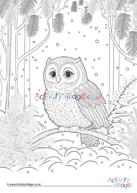 Winter owl louring page