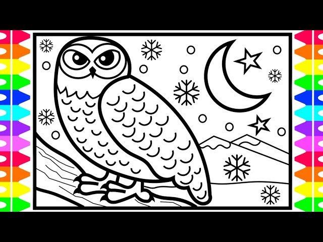 How to draw a snowy owl step by step arctic animals coloring pages for kids owl coloring page