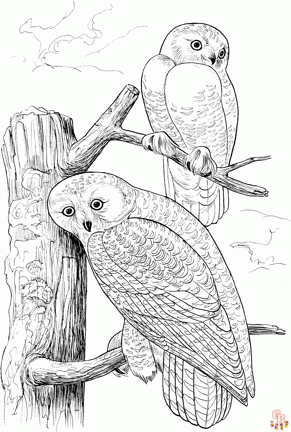 Free printable snowy owl coloring pages for kids