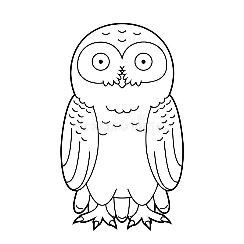 Snowy owl outline stock illustrations â snowy owl outline stock illustrations vectors clipart