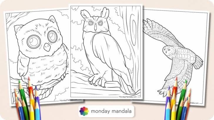 Owl coloring pages free pdf printables