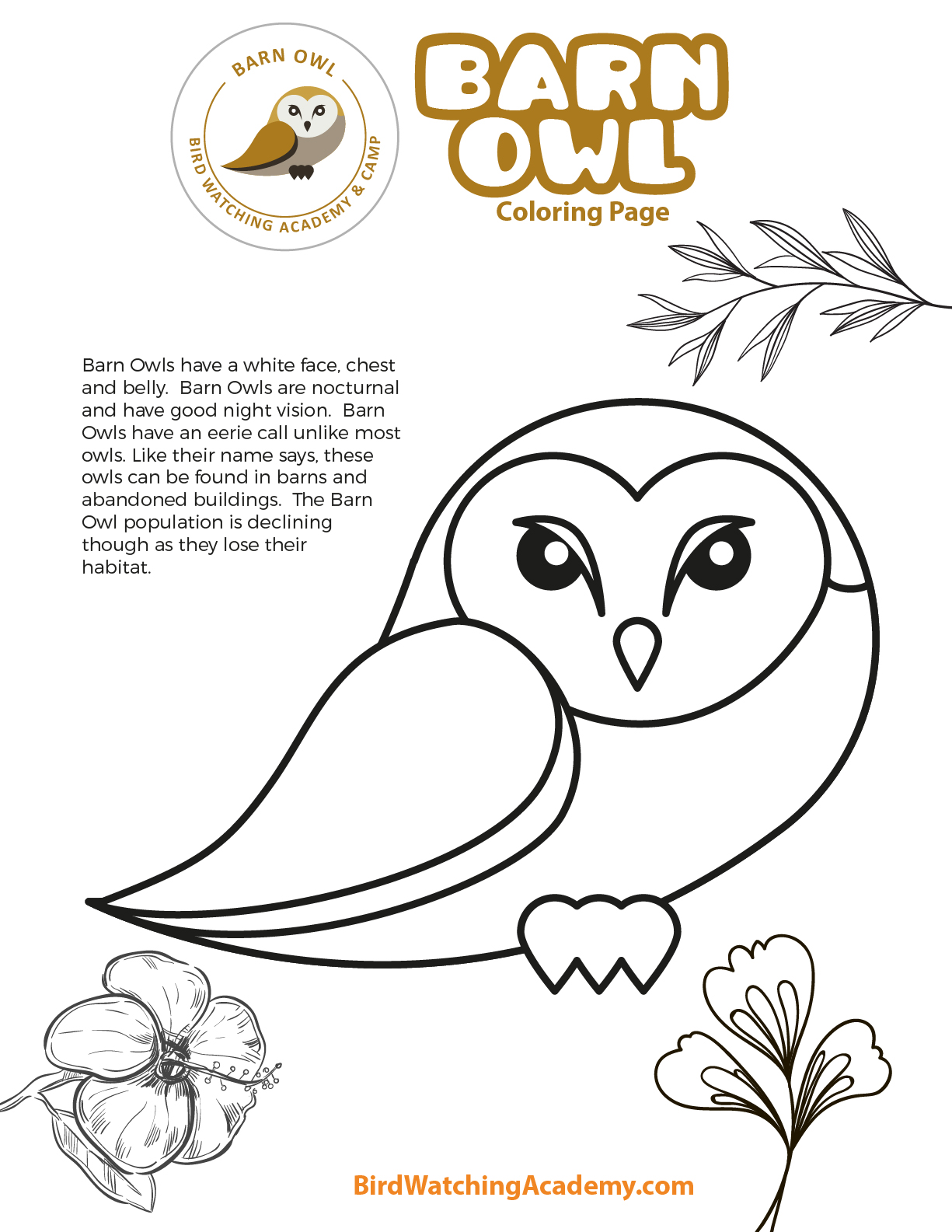 Barn owl coloring page