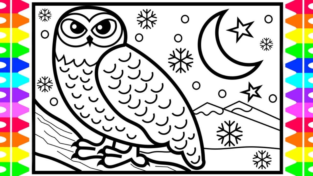 How to draw a snowy owl step by step arctic animals coloring pages for kids owl coloring page