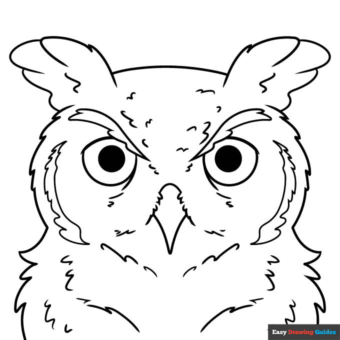 Realistic owl face coloring page easy drawing guides