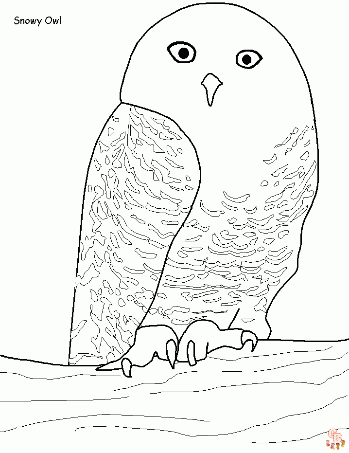 Free printable snowy owl coloring pages for kids