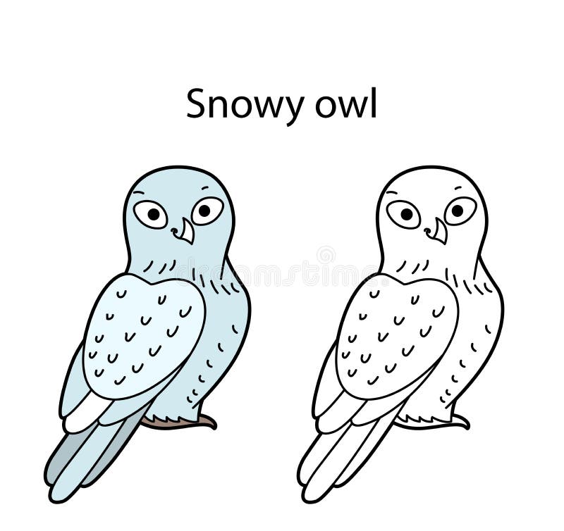 Snowy owl outline stock illustrations â snowy owl outline stock illustrations vectors clipart