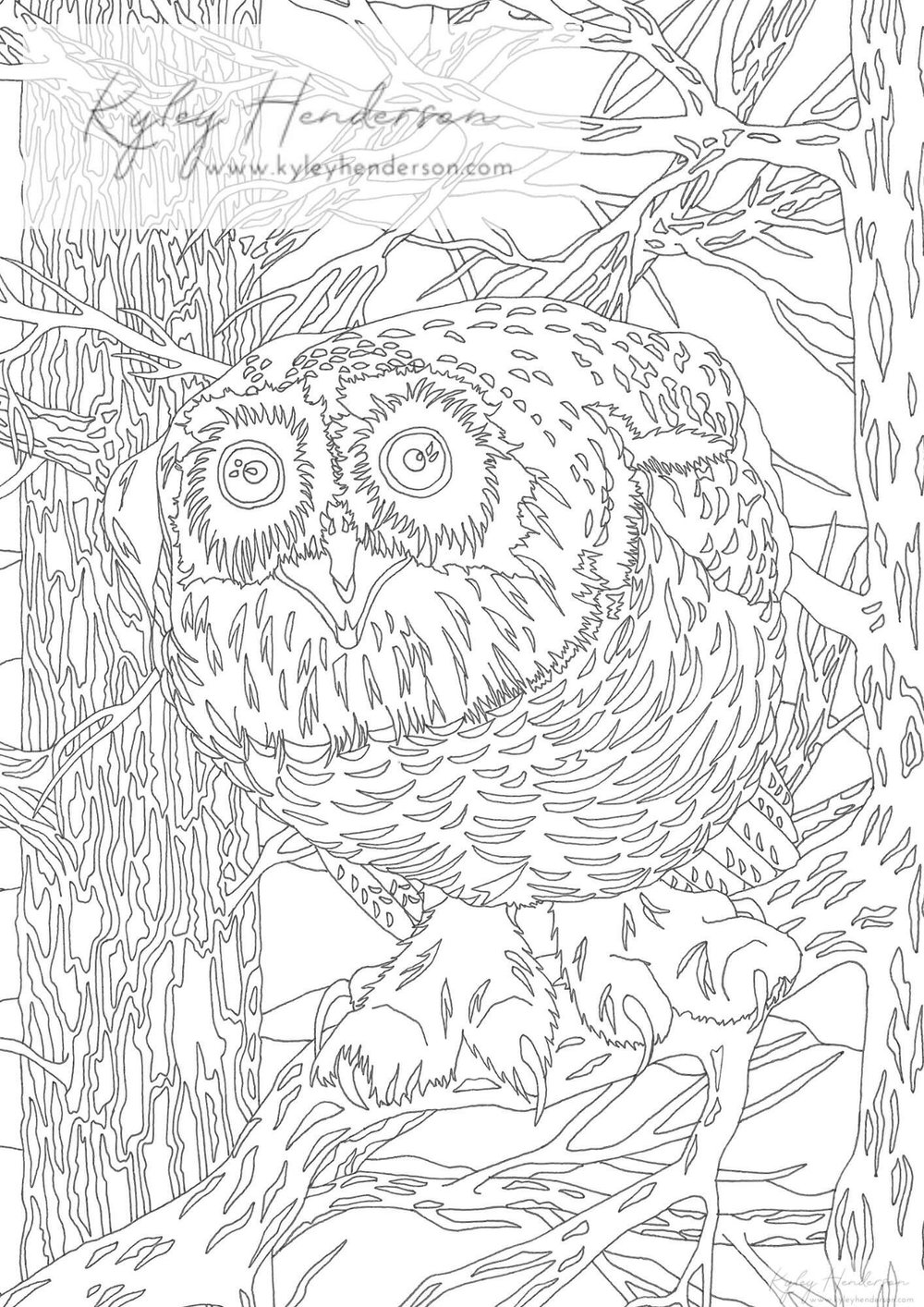 Snowy owl adult coloring pages owl coloring page digital instant download coloring sheet of an owl â kyley henderson art