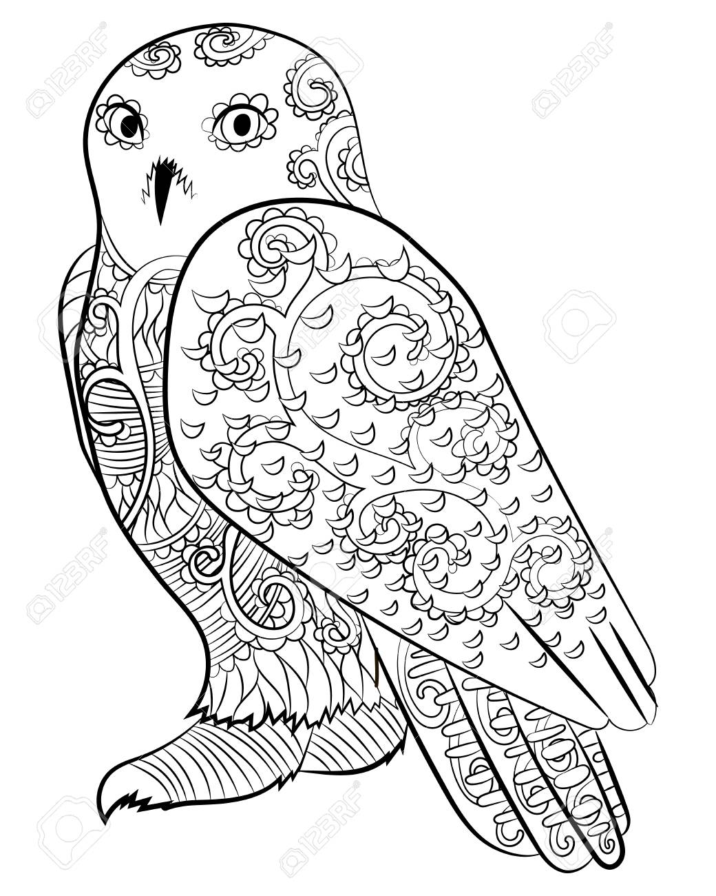 High detailed illustration of an snowy owl adult coloring page with polar owl vector illustration royalty free svg cliparts vectors and stock illustration image
