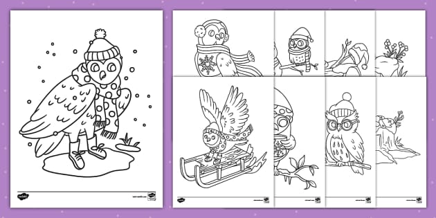 Winter owl coloring sheets teacher made