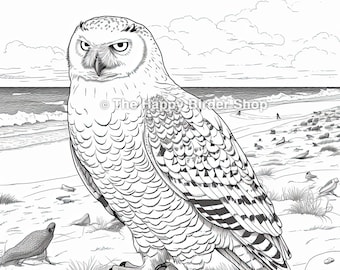Snowy owl coloring book page printable adult coloring page instant download digital coloring sheet animal art winter birds birds instant download