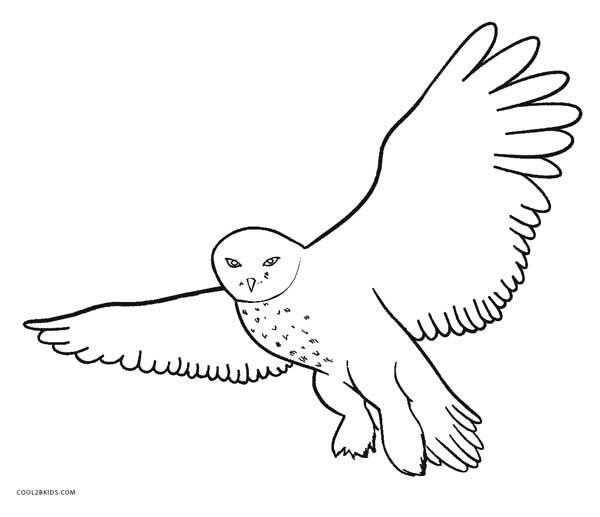 Free printable owl coloring pages for kids