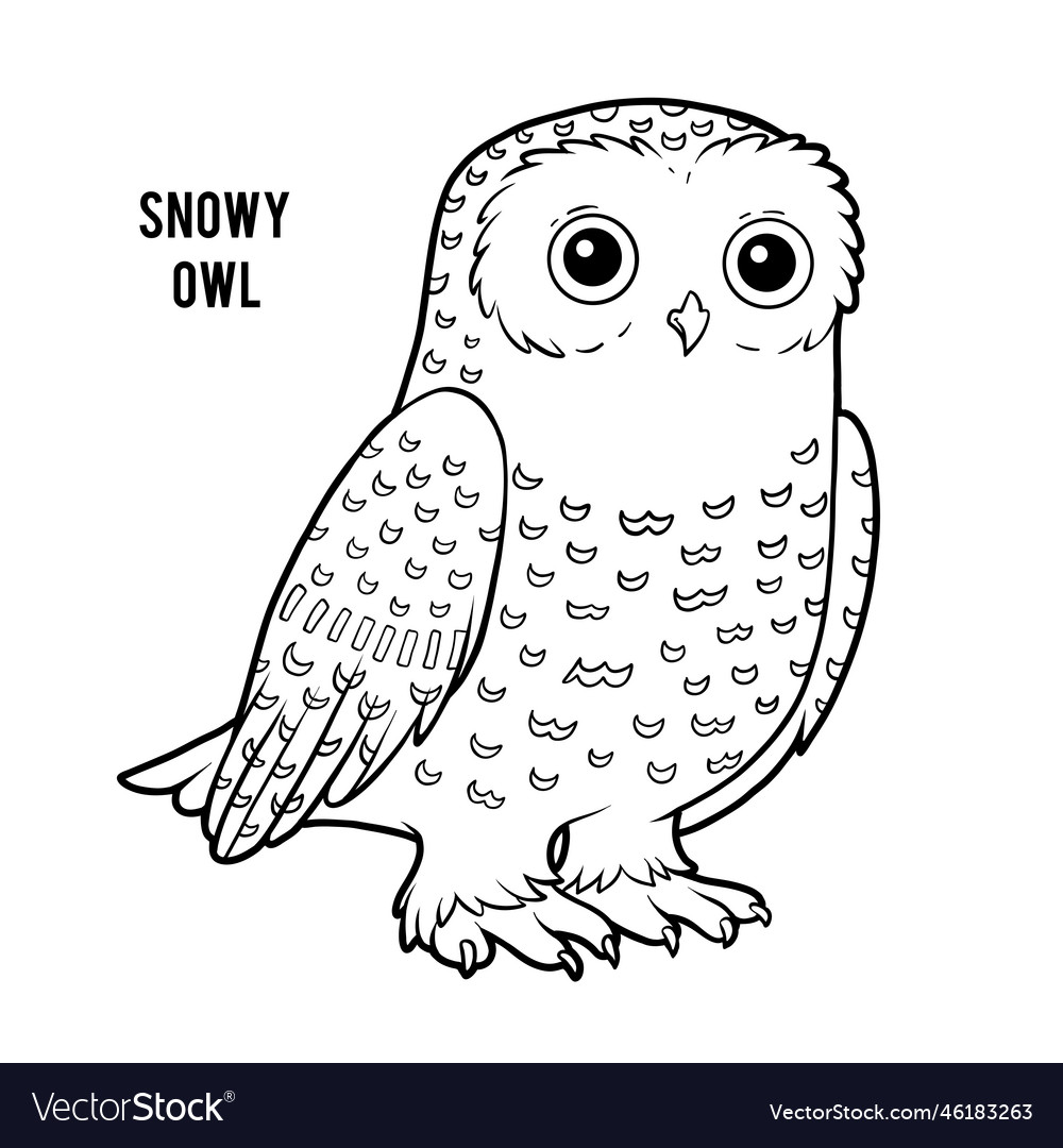 Coloring book snowy owl royalty free vector image