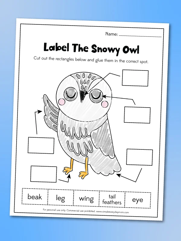 Snowy owl worksheets for kids free printable