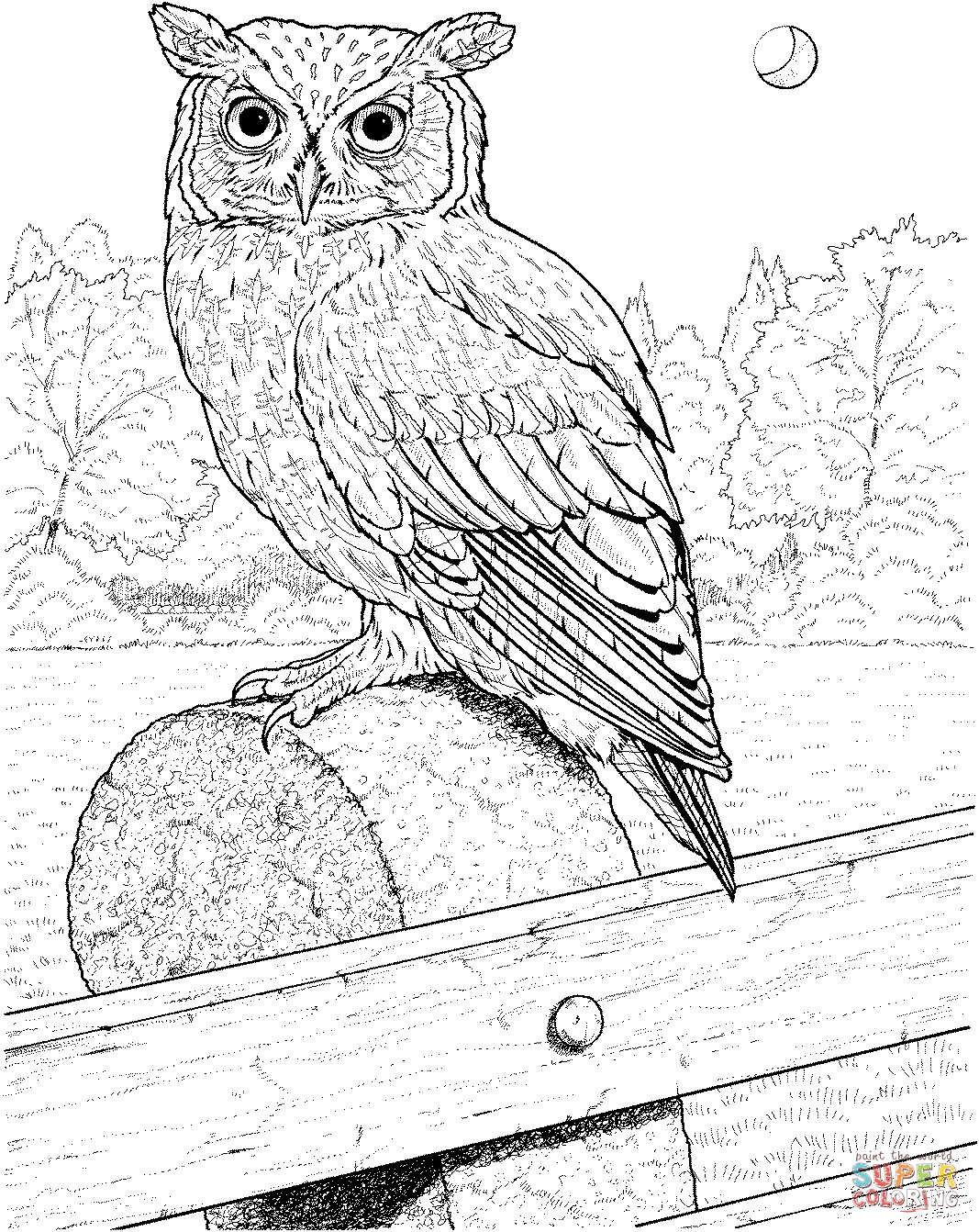 Great horned owl coloring page free printable coloring pages