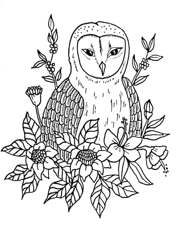 Barn owl coloring sheet to print owl printable colouring page kids coloring bird printable bird coloring page