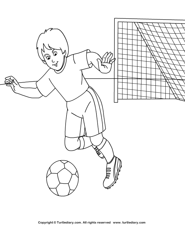 Soccer coloring sheet turtle diary