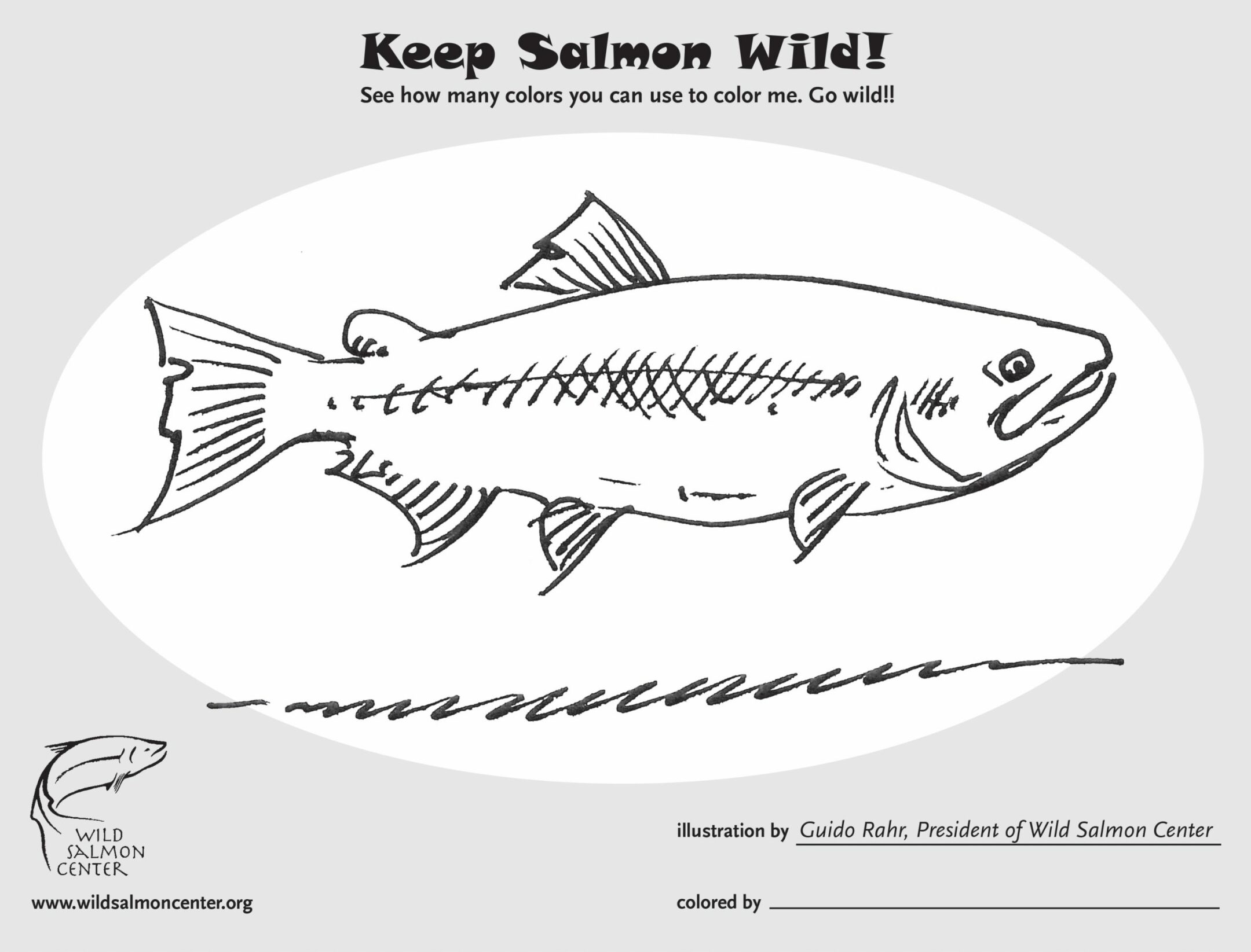 Salmon school