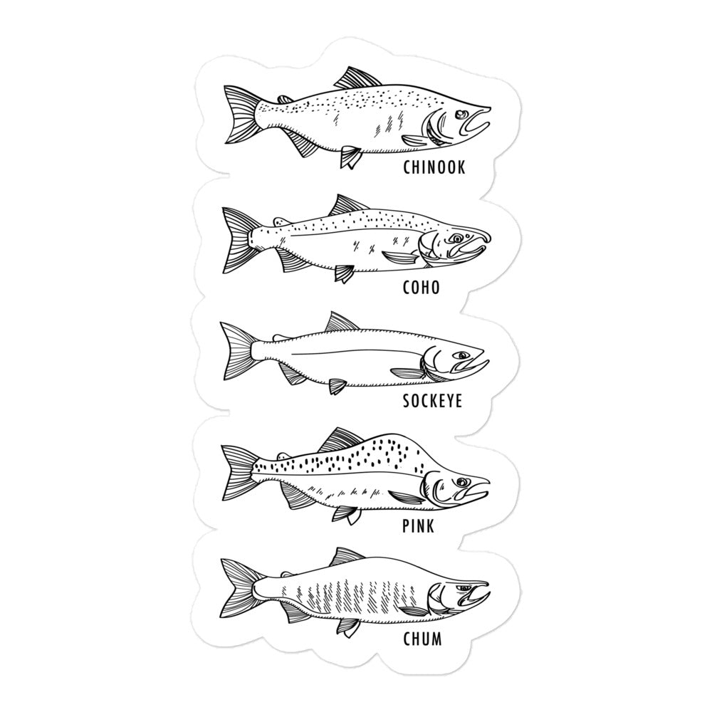 Salmon series sticker â anchorage daily news store