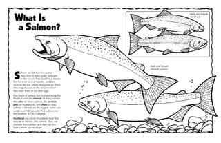 The pacific salmon and steelhead coloring book pdf