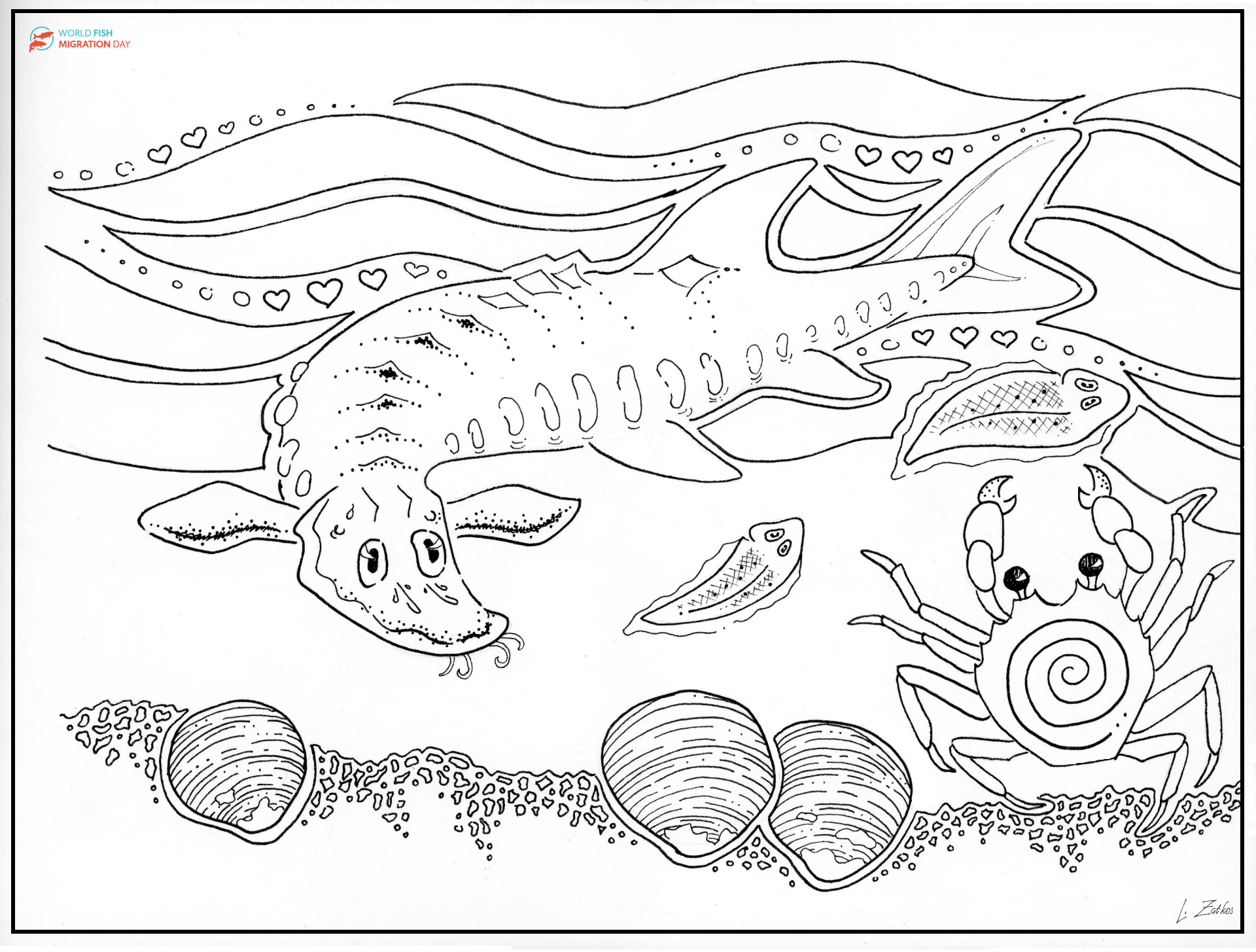 World fish migration foundation on x look at these masterpieces ðð use these colouring pages in your uping events and share them with kids and schools the fish represented are in order