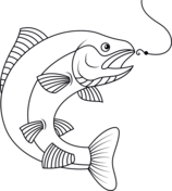 Salmon coloring pages free coloring pages