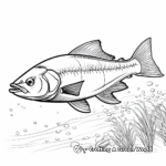 Salmon coloring pages