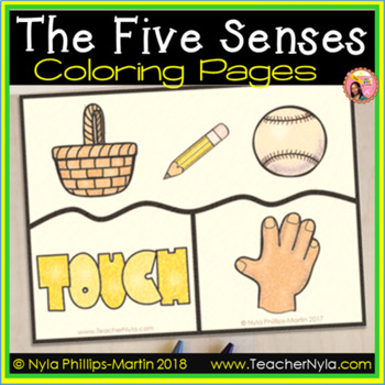 Free five senses puzzles by nylas crafty teaching tpt