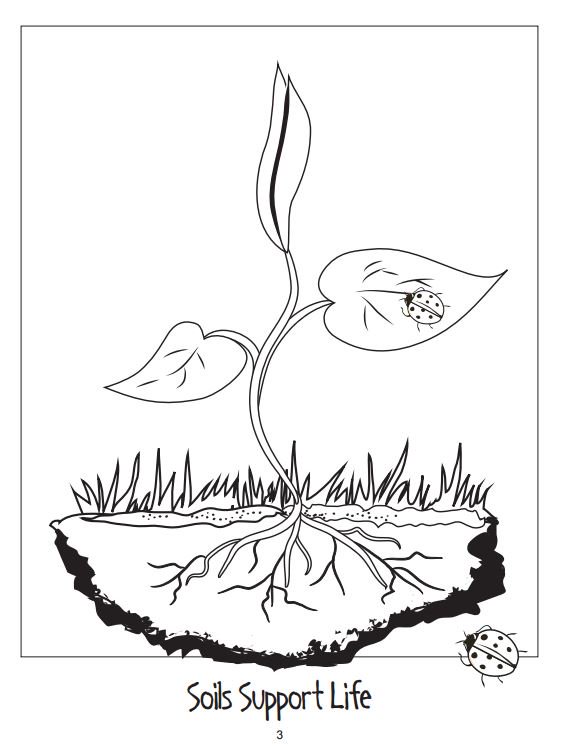 X äçsoil science society of americaïãhappy national coloring book day download this i soil activity coloringbook for free httpstcorzjerdive httpstcodhthizsqã x