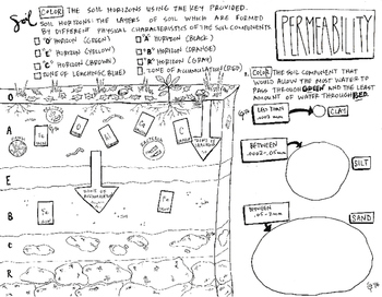 Soil horizons and soil ponents coloring sheet tpt