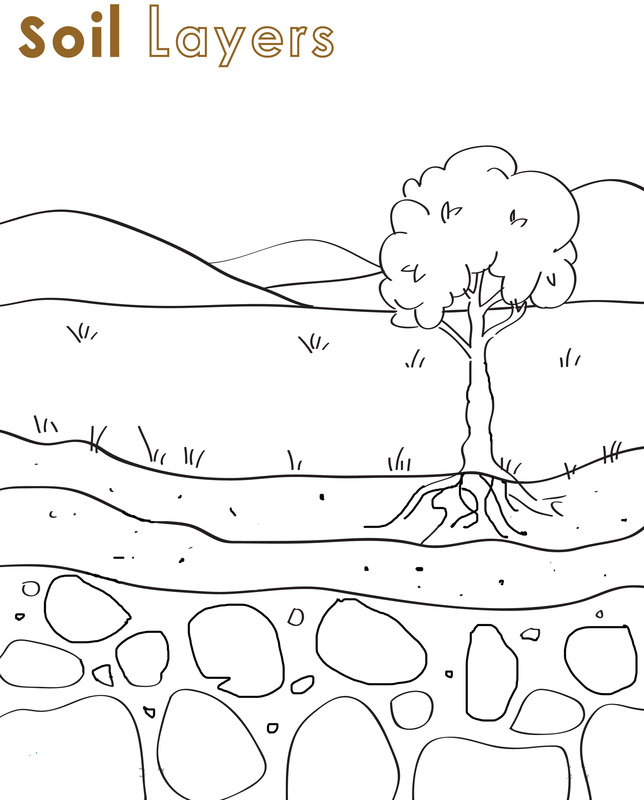 Soil layers