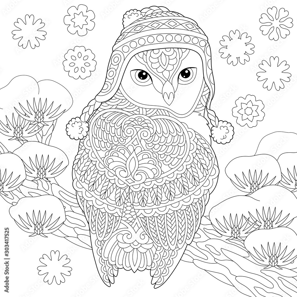 Coloring page with winter owl vector