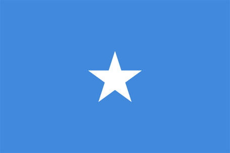 Flag of somalia