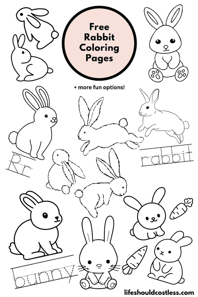 Rabbit coloring pages free printable pdf templates