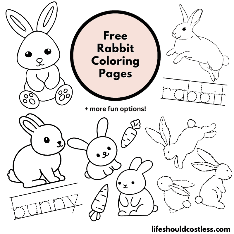 Rabbit coloring pages free printable pdf templates