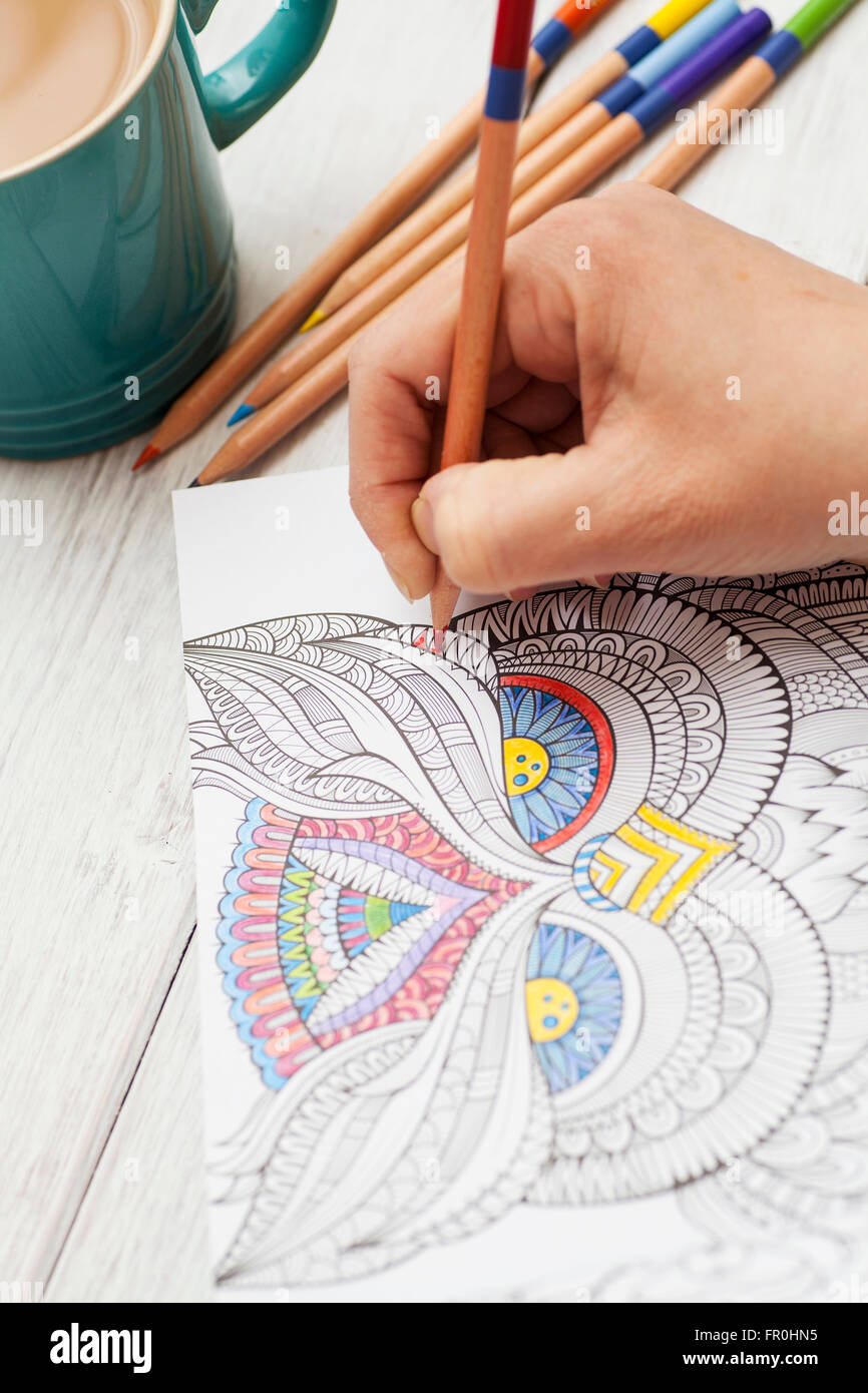 Person coloring in an adult coloring book with colorful pencil crayons stock photo