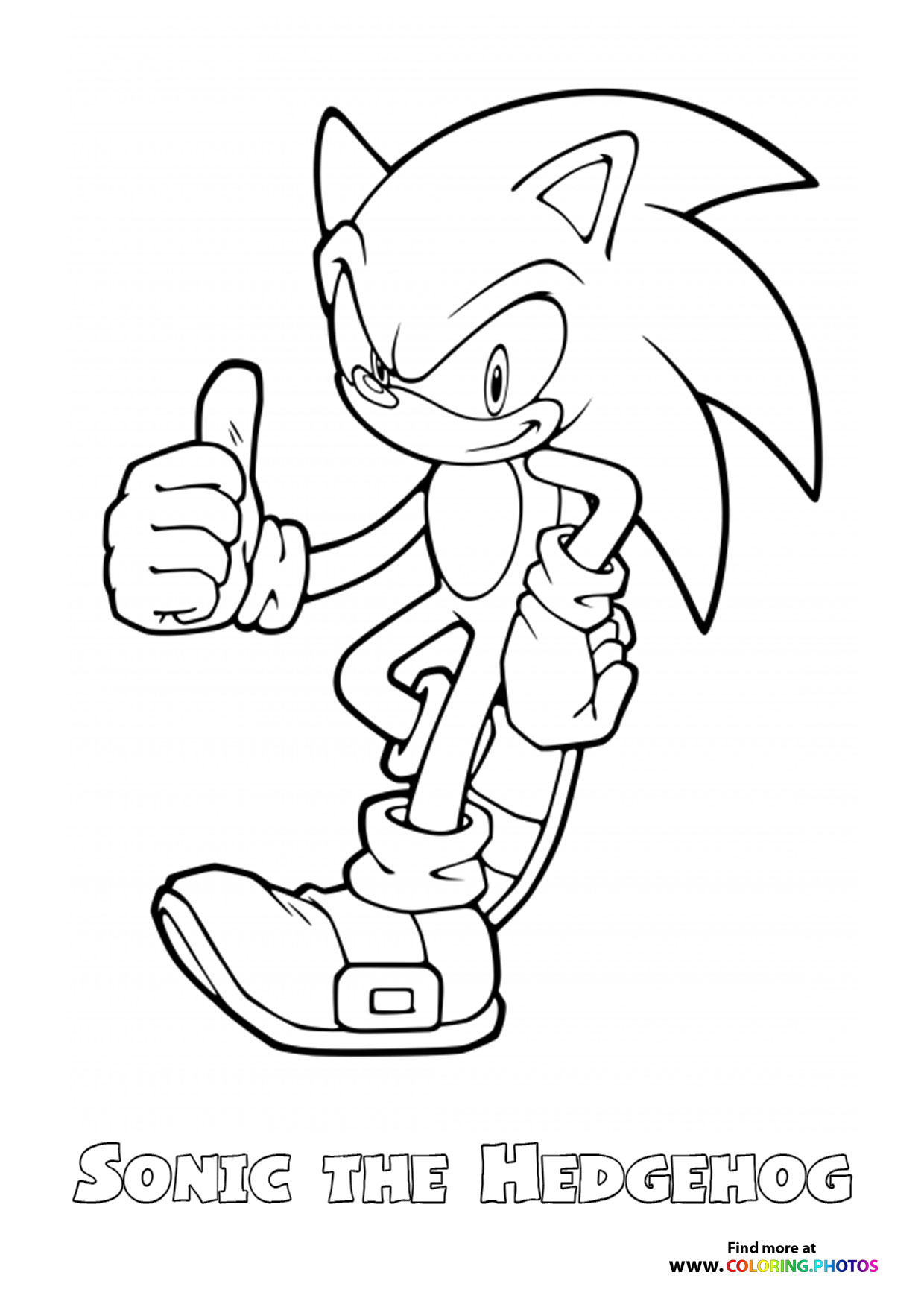 Sonic the hedgehog